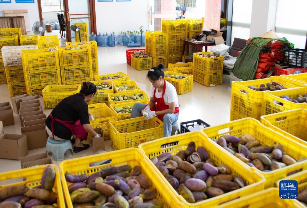 九线拉王游戏技巧